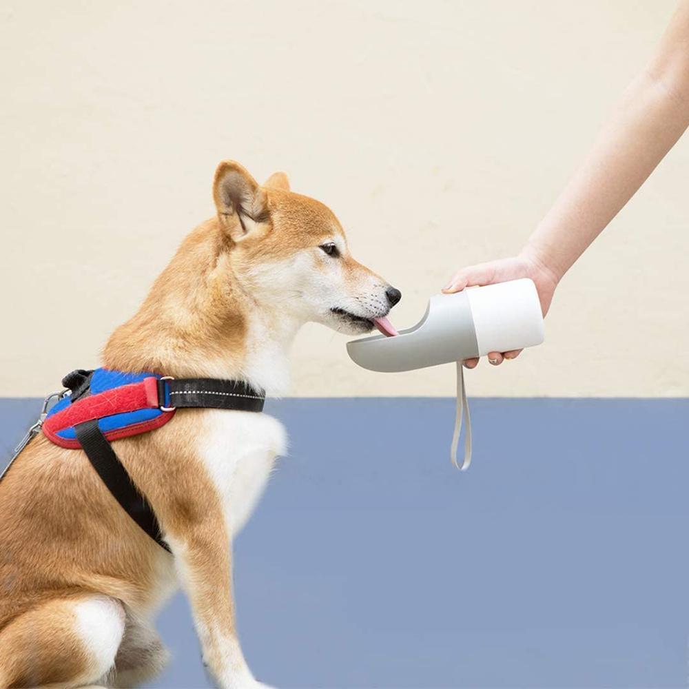 Instachew Rover Pet Travel Bottle, Dog water bottle